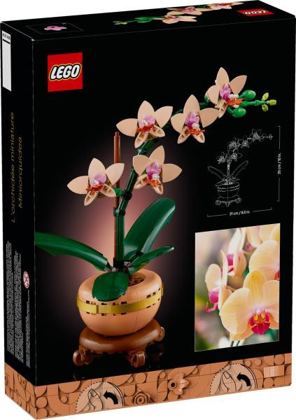 LEGO Botanicals 10343 - Mini orchidea - Image 2