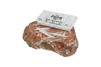 Carp Zoom Úszórögzítő szilikon szett, 0,3 | 0,5 | 0,8 | 1,0 | 1,2 mm, átlátszó